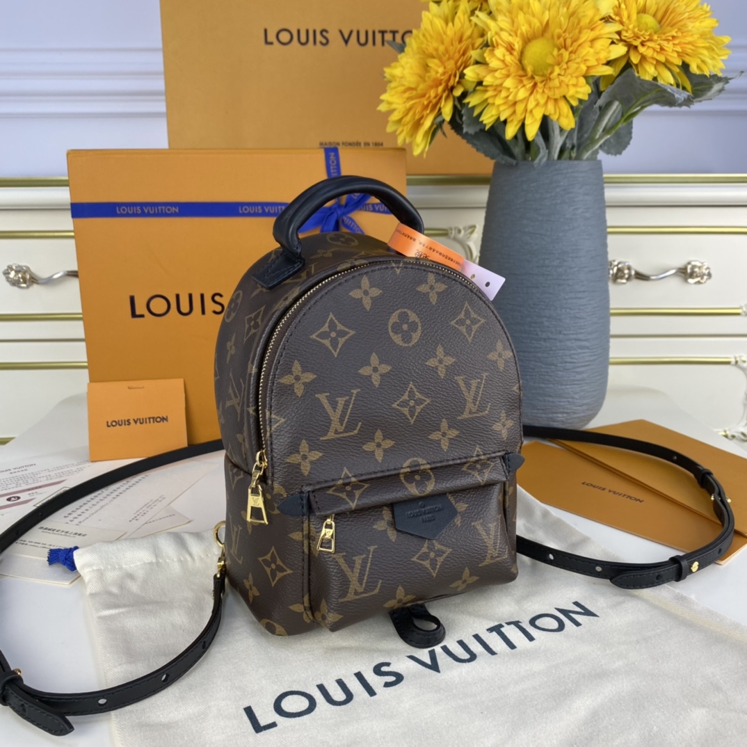 Louis Vuitton PALM SPRINGS PM Backpack Monogram M44871